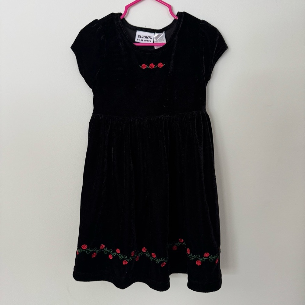 Blueberi Boulevard Vintage Whimsygoth Black Velvet Dress with Red Rose Accents 4
